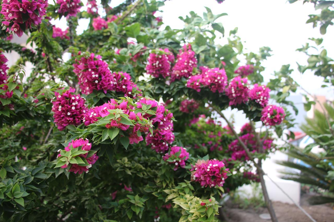 Villa Agrumeto Lipari  Exteriér fotografie